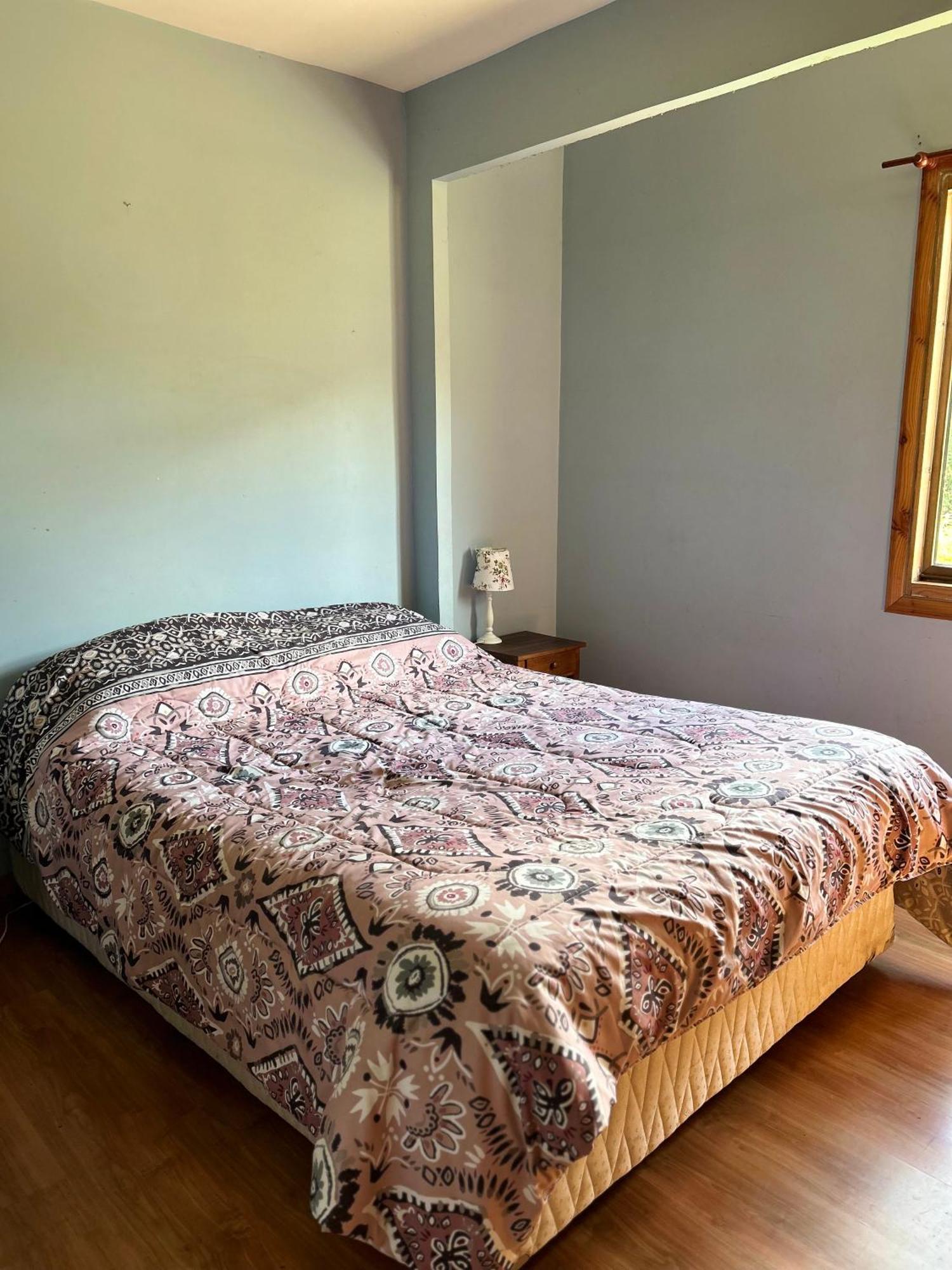 Quelen Patagonia Vandrarhem Villa Cerro Castillo Exteriör bild